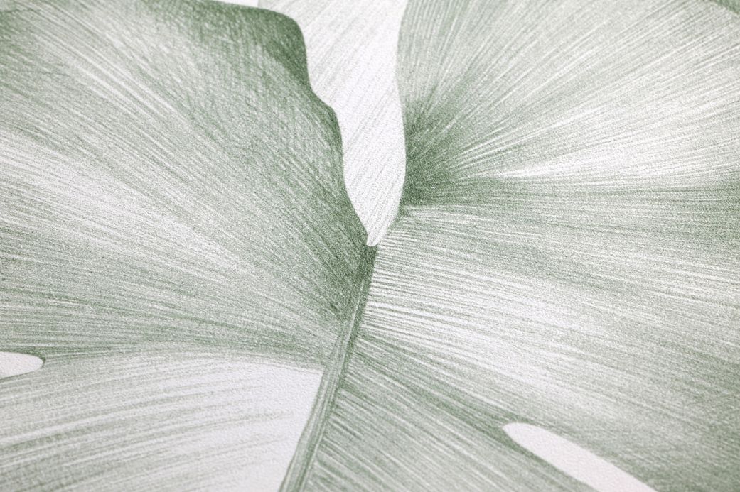 Carta da parati botanica Carta da parati Gisah verde muschio Visuale dettaglio