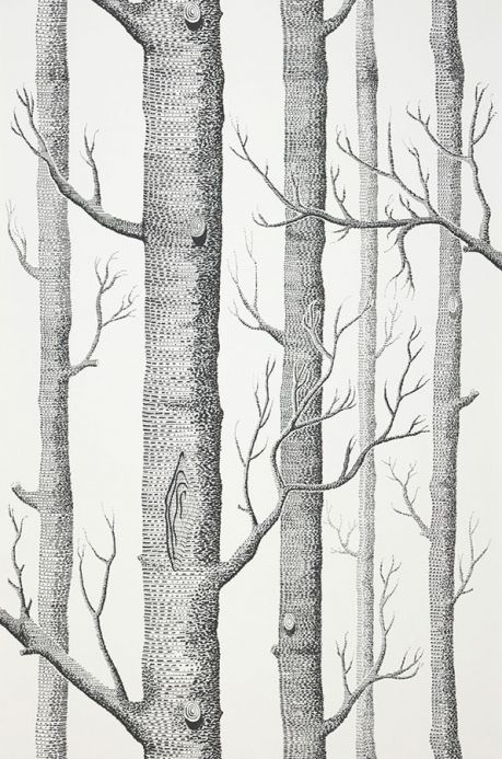 Papier peint Papier peint Birch Forest noir Largeur de lé
