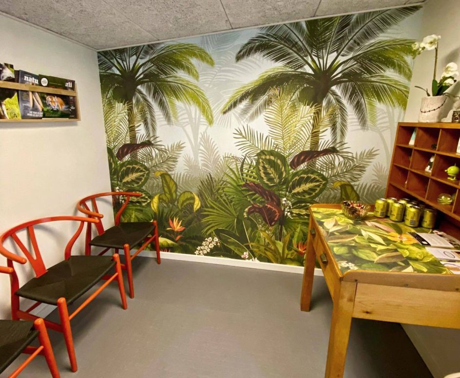 3-AirBnB-Tropical-7