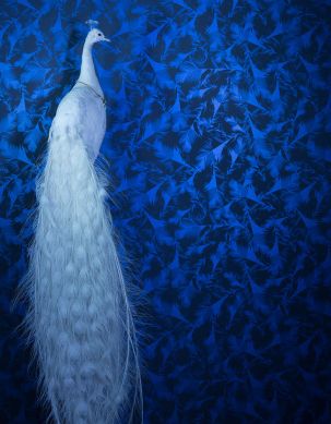 Wallpaper Featherlight pearl blue Room View