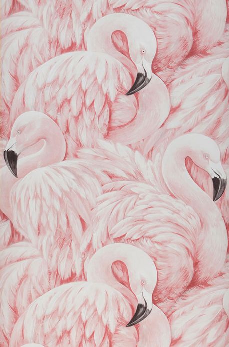 Archiv Papel de parede Flamingo Dreaming rosa claro Largura do rolo