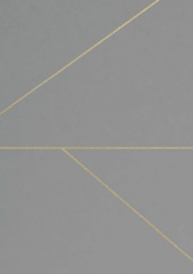 Lines gris L’échantillon