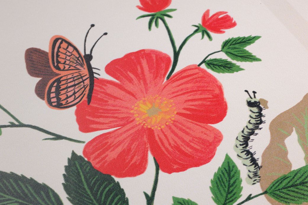 Red Wallpaper Wallpaper Botanical Prints multi-coloured Detail View