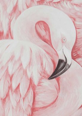 Flamingo Dreaming rosa claro Amostra