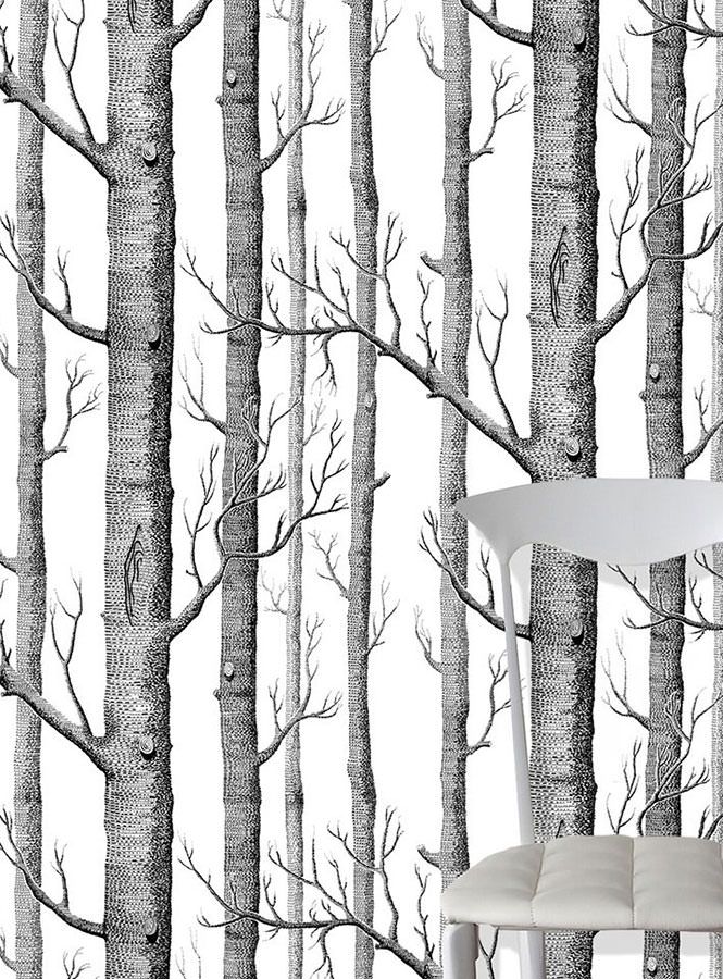 Birch Forest Vue pièce
