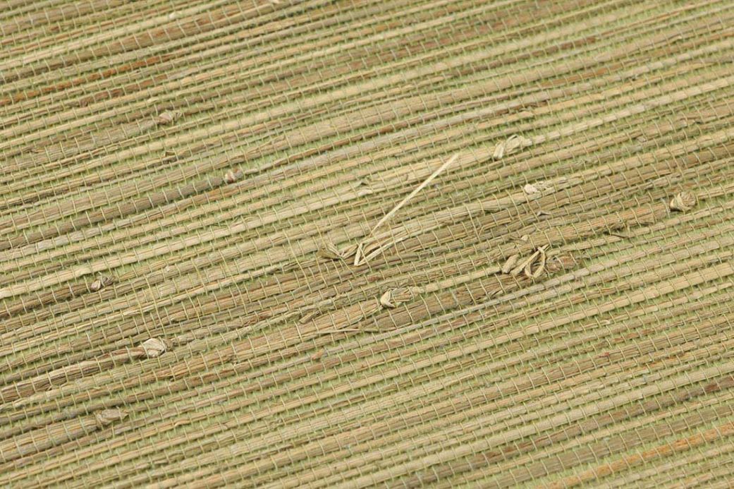 Natur Tapeten Tapete Grasscloth 01 Blassgrün Detailansicht