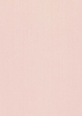 Warp Beauty 06 rosa pálido Amostra