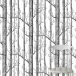 Preview: Birch Forest