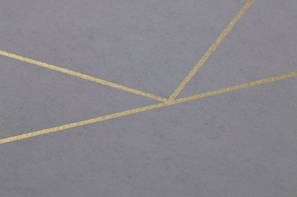 Carta da parati geometrica Carta da parati Lines grigio Visuale dettaglio