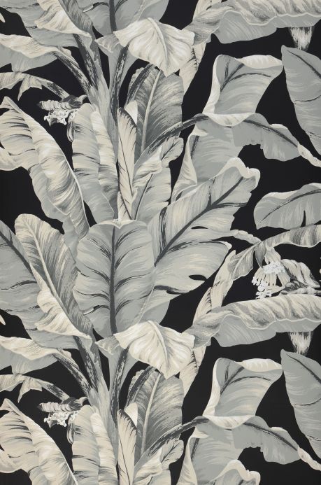 Papier peint botanique Papier peint Belize noir Largeur de lé
