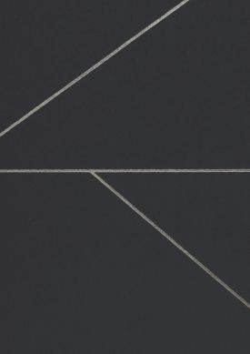 Lines gris graphite L’échantillon