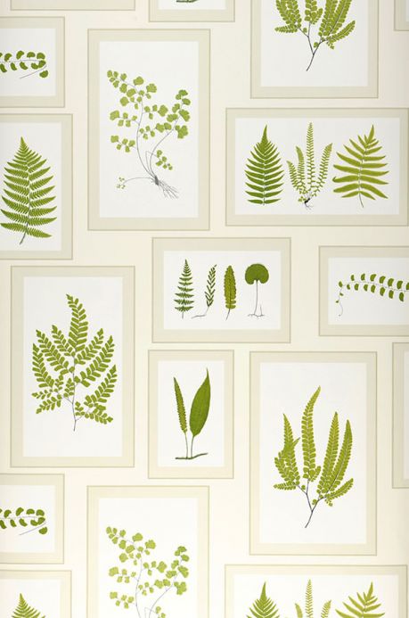 Botanical Wallpaper Wallpaper Sitka fern green Roll Width