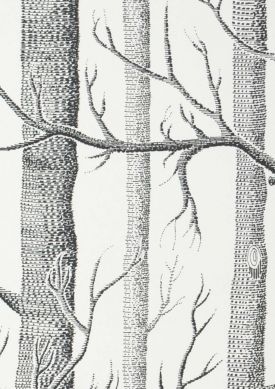 Birch Forest Schwarz Muster