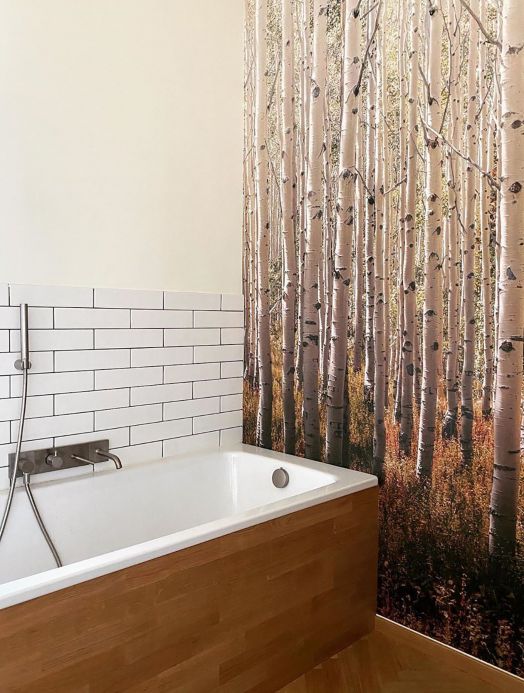 Wallpaper Wall mural Forest grey tones Room View