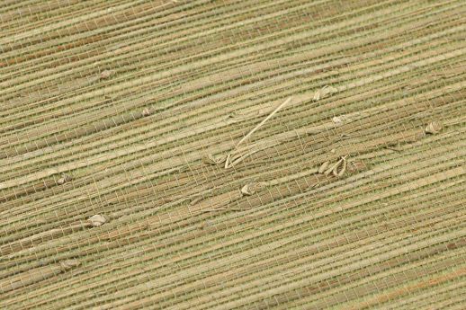 Tapete Grasscloth 01 Blassgrün Detailansicht