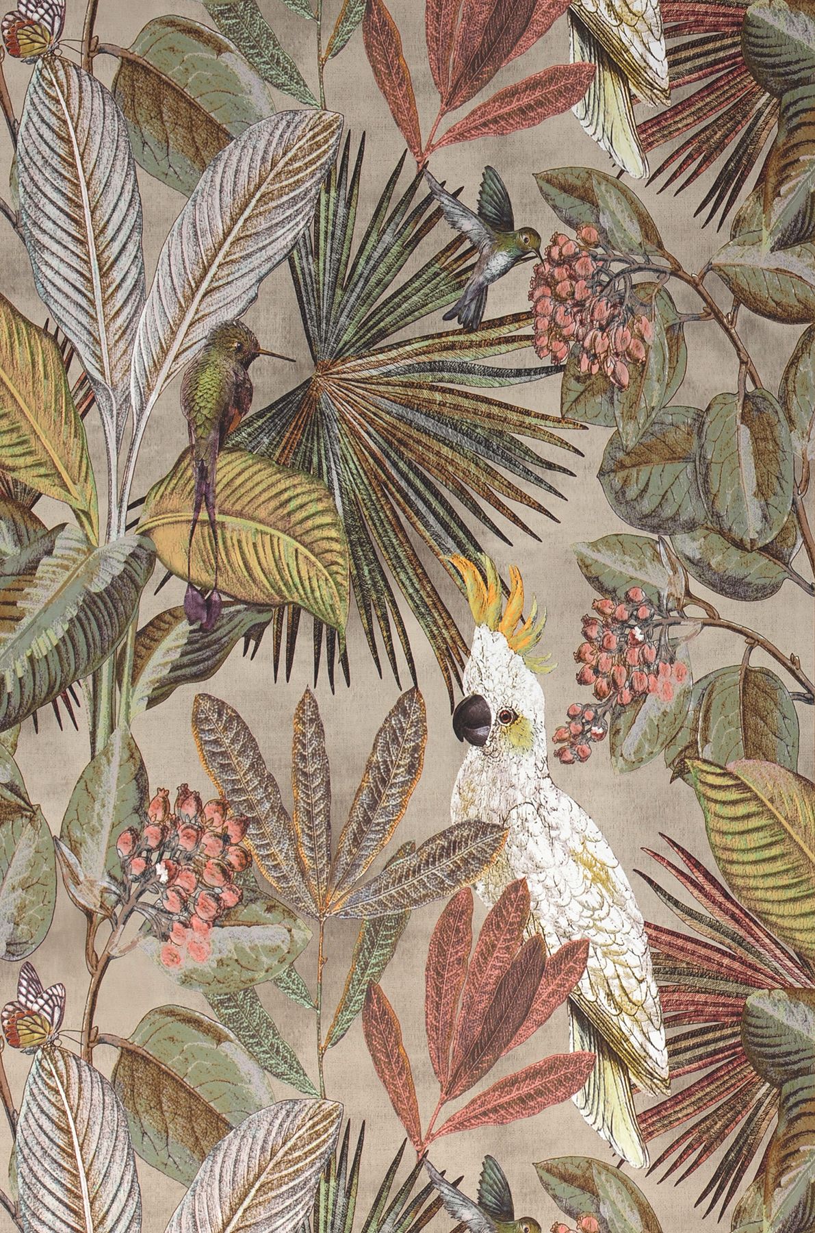 Holden Décor Safari cadres esquisse Animaux Oiseaux Girafe papier peint