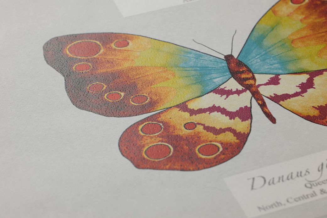 Archiv Carta da parati Farfalla verde giallastro Visuale dettaglio