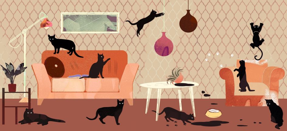 I baffi del gatto (o del cane)! Quale carta da parati scegliere se avete  animali domestici?, Blog