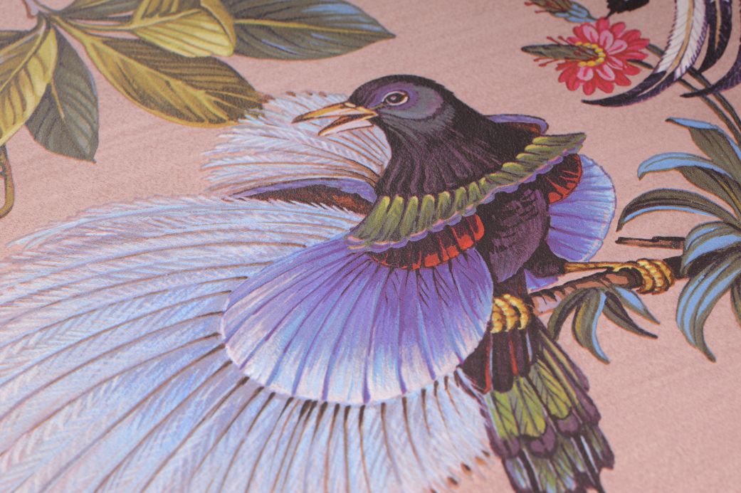 Bird Wallpaper Wallpaper Limosa light pink Detail View