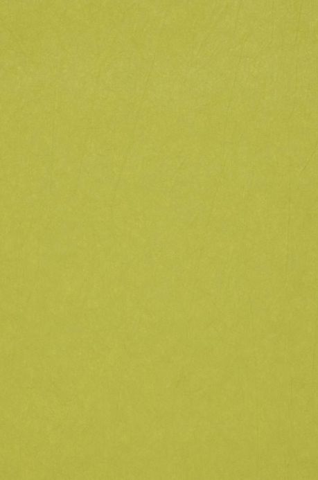 Archiv Carta da parati Crush Elegance 05 verde giallastro Ritaglio A4