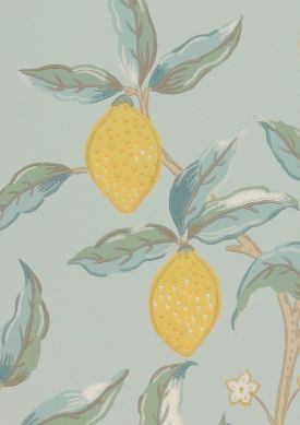 Lemon Tree grigio bluastro chiaro Mostra