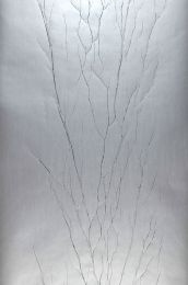 Papier peint Crush Tree 04 gris argent