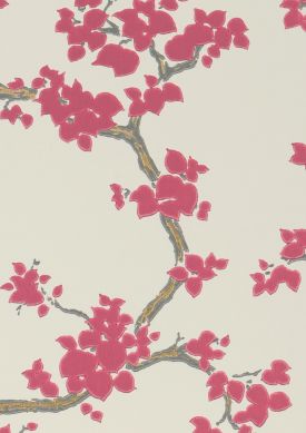 Sakura viola bordeaux Mostra