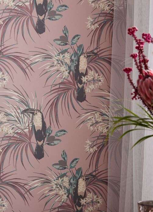 Pink Wallpaper Wallpaper Toucan Jungle pale rosewood Room View