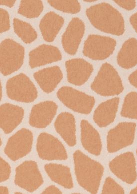 Giraffe Coat Terrakotta Muster