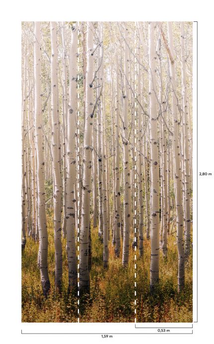 Botanical Wallpaper Wall mural Forest grey tones Detail View