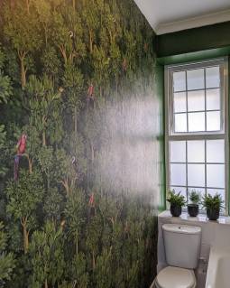 Foto do cliente Papel de parede Amadori tons de verde de 27/04/2024 (Instagram)